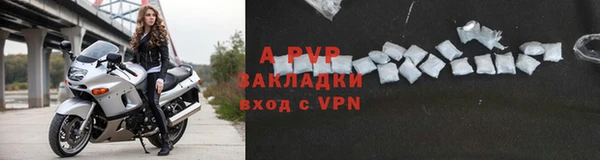 дурь Новодвинск