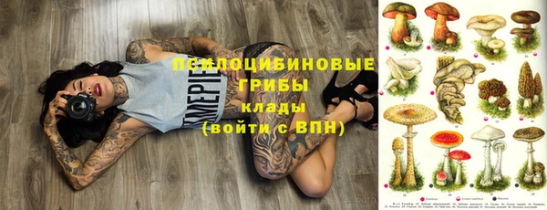 спиды Новокубанск